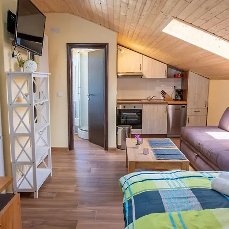 Via Flavia With Common Pool Guest house Labinci